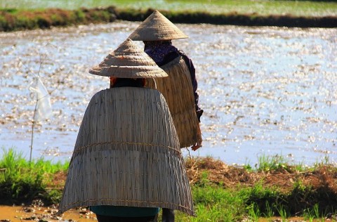 ao toi su kheo leo trong viec su dung tai nguyen thien nhien