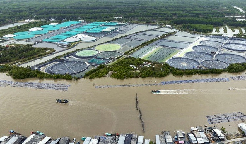 Làng nghề nuôi và đánh bắt thuỷ sản xứ Rạch Gốc, Tân Ân đang đánh thức tiềm năng vùng đất xứ rừng, xứ biển Ngọc Hiển. Làng nghề nuôi và đánh bắt thuỷ sản xứ Rạch Gốc, Tân Ân đang đánh thức tiềm năng vùng đất xứ rừng, xứ biển Ngọc Hiển.