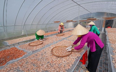 Trù phú làng nghề