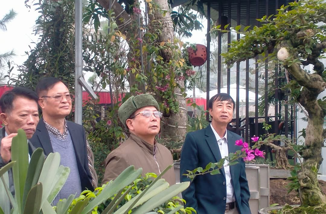 Chi hội sinh vật cảnh và làm vườn xã Cẩm Lĩnh góp phần tích cực xây dựng nông thôn mới