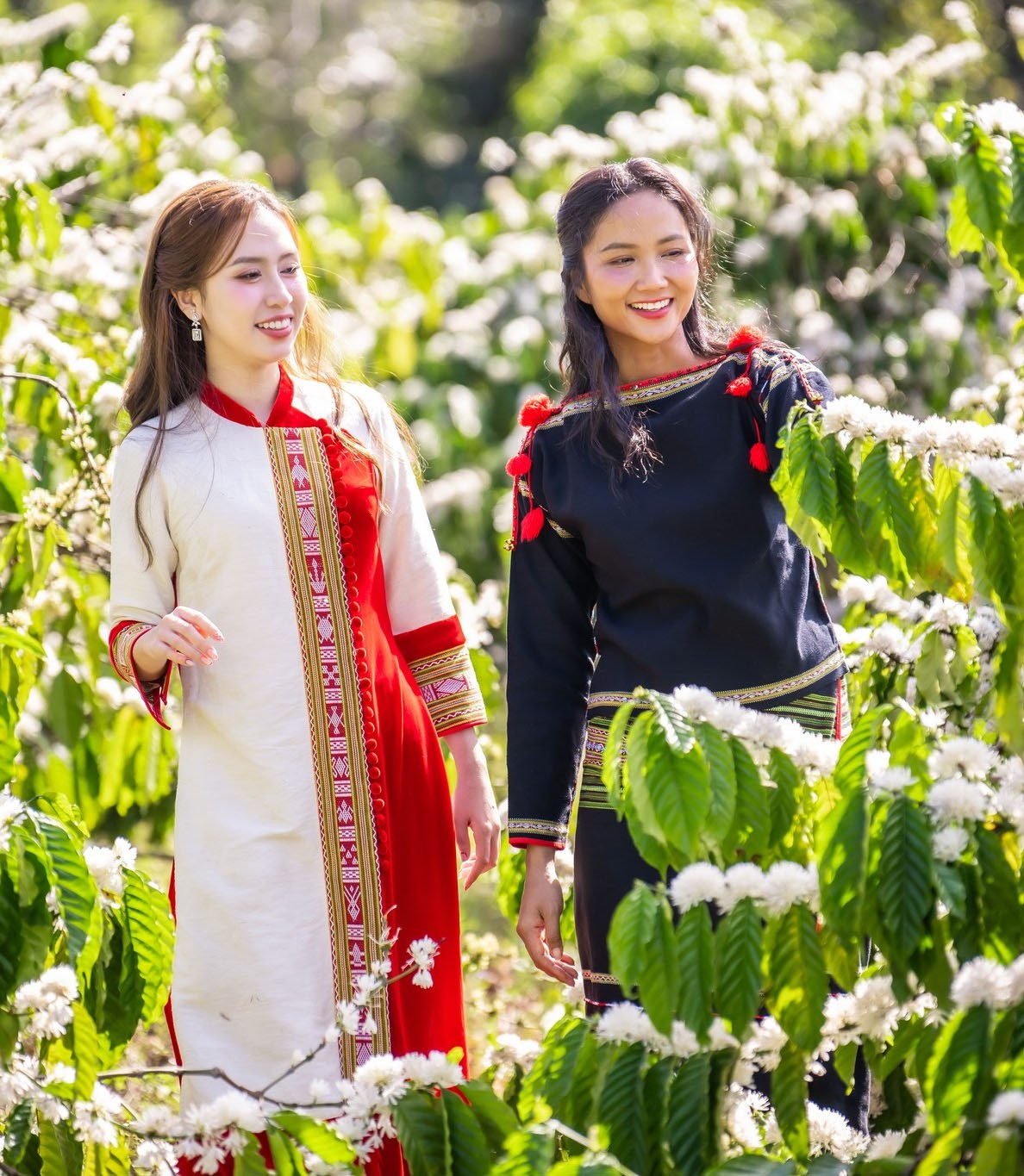 Đắk Lắk - “Thủ phủ cà phê”