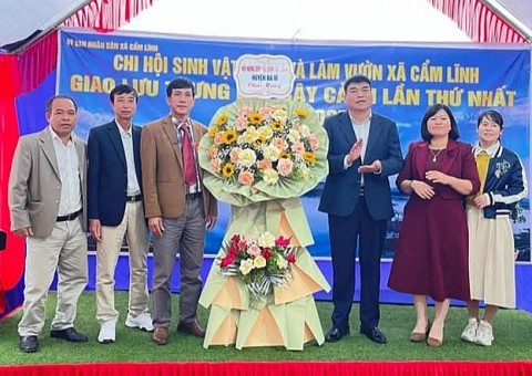 Chi hội sinh vật cảnh và làm vườn xã Cẩm Lĩnh tích cực xây dựng nông thôn mới