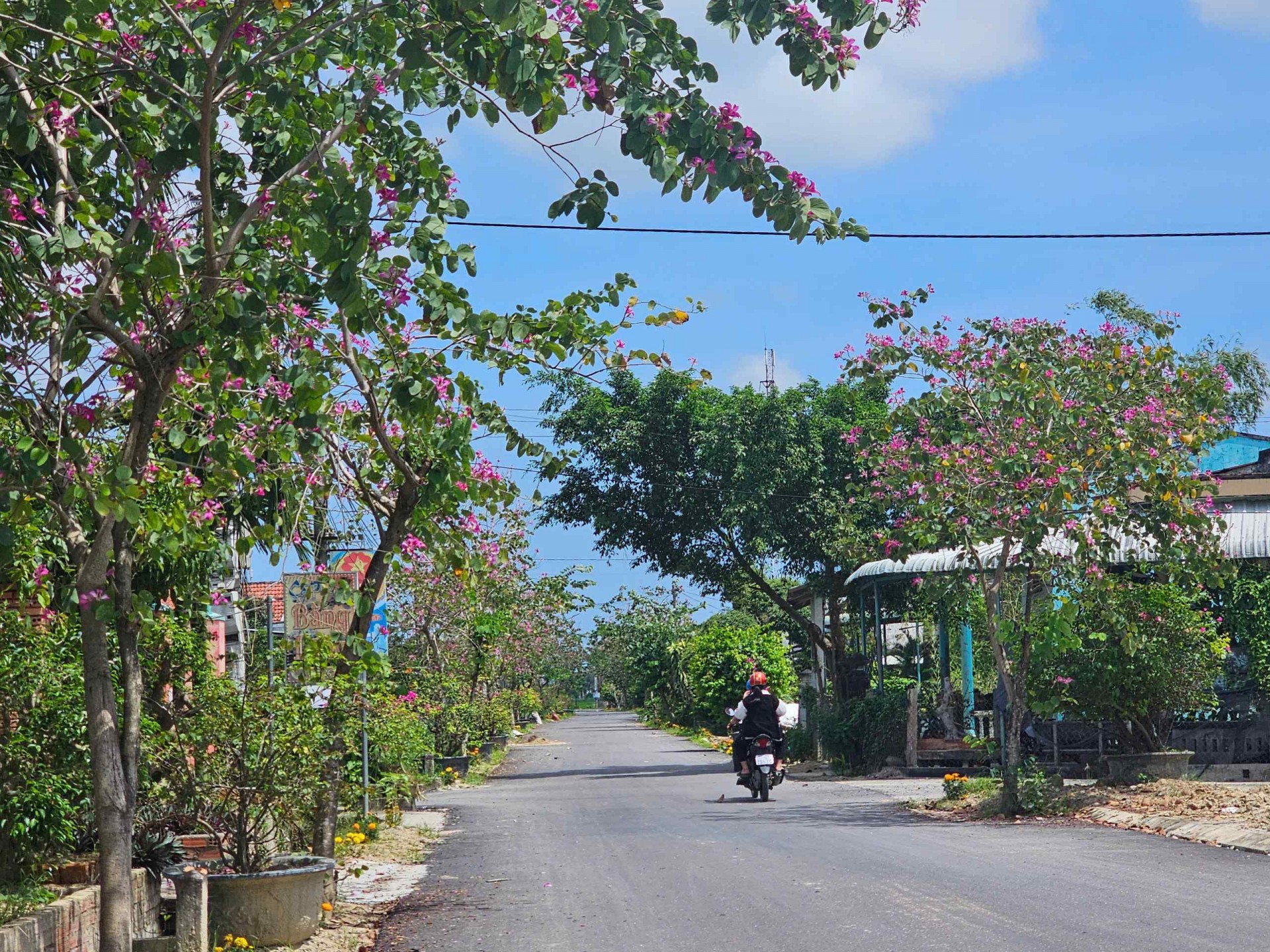 Bình Định: Xã Cát Tài vững vàng tiến bước xây dựng nông thôn mới nâng cao Bình Định: Xã Cát Tài vững vàng tiến bước xây dựng nông thôn mới nâng cao