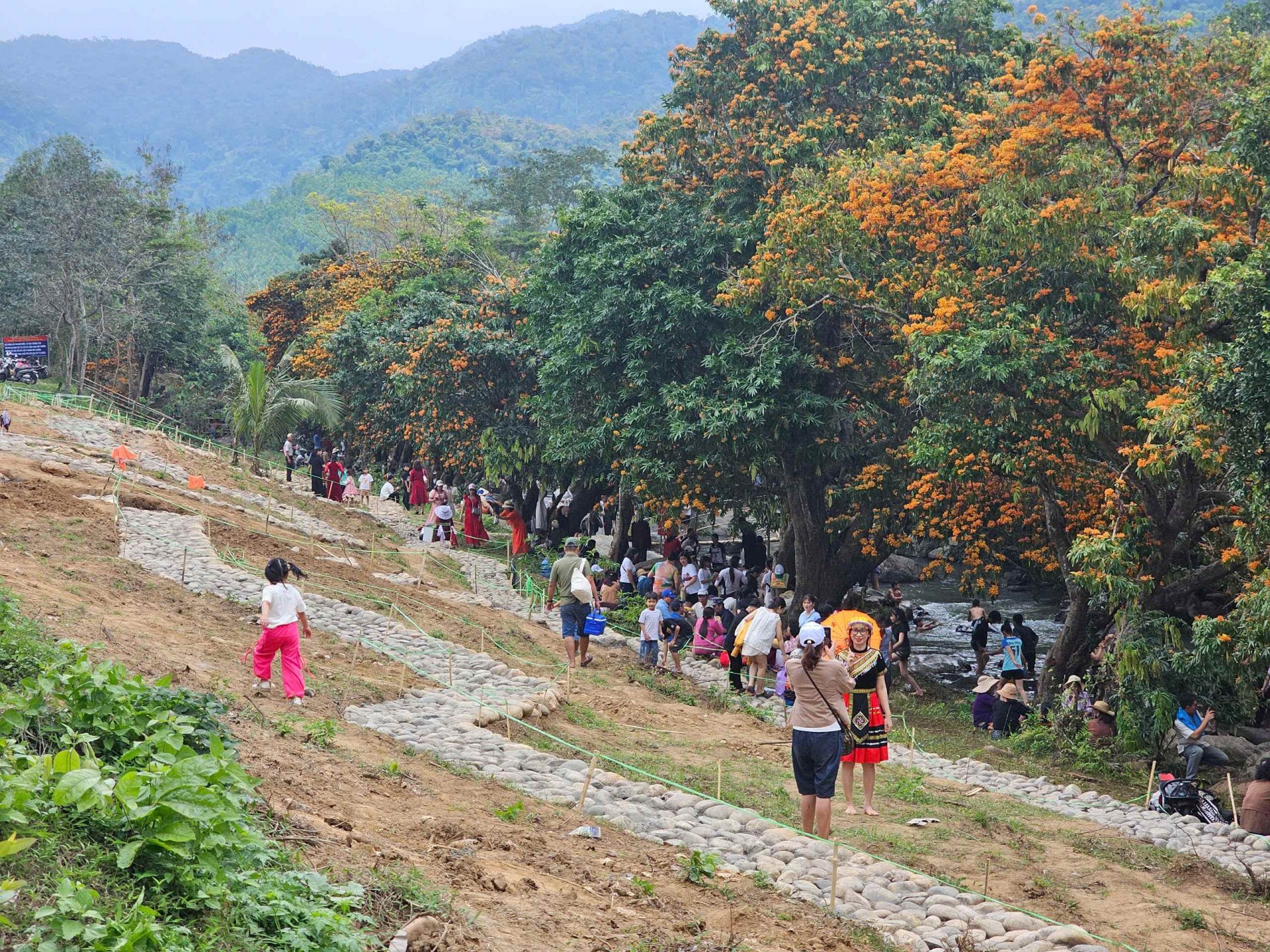 Bình Định: Du khách nô nức lên suối Tà Má thưởng ngoạn hương sắc hoa Trang Bình Định: Du khách nô nức lên suối Tà Má thưởng ngoạn hương sắc hoa Trang