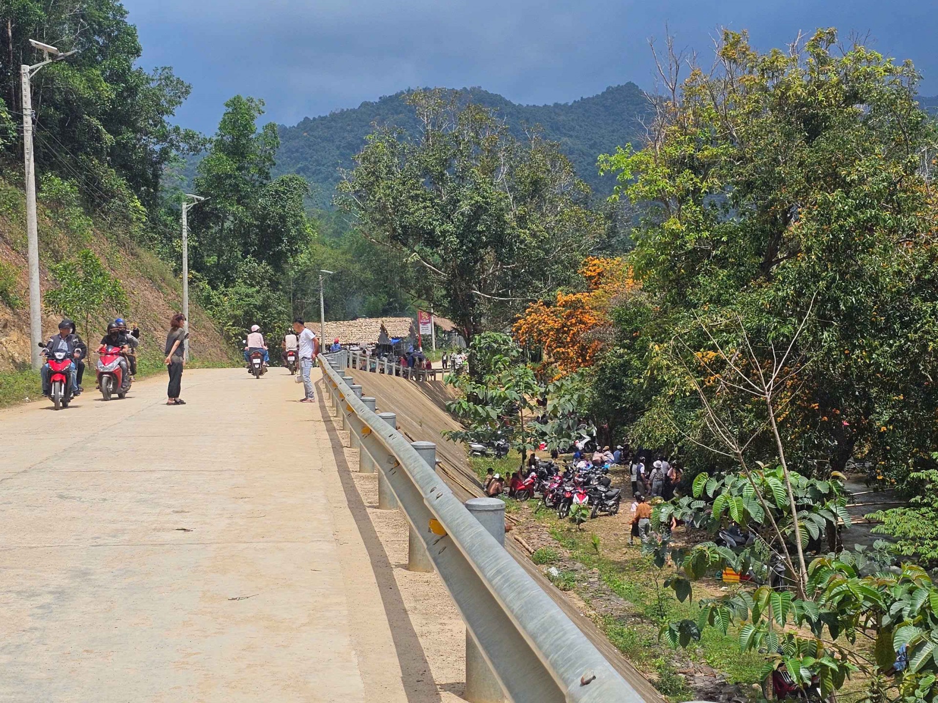 Bình Định: Du khách nô nức lên suối Tà Má thưởng ngoạn hương sắc hoa Trang Bình Định: Du khách nô nức lên suối Tà Má thưởng ngoạn hương sắc hoa Trang