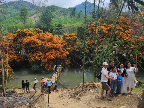 Bình Định: Du khách nô nức lên suối Tà Má thưởng ngoạn hương sắc hoa Trang