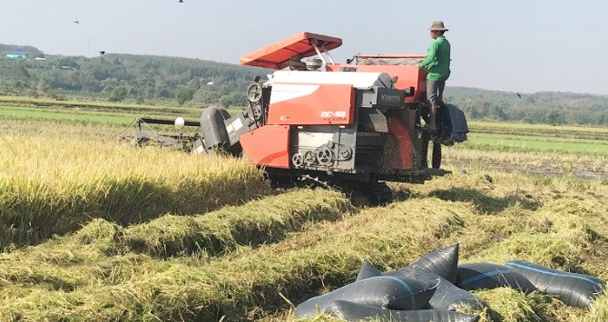 Lộc Ninh chú trọng phát triển và nhân rộng các loại hình liên kết hoạt động hiệu quả và đẩy mạnh ứng dụng tiến bộ khoa học kỹ thuật, đưa cơ giới hóa vào sản xuất nông nghiệp tập trung Lộc Ninh chú trọng phát triển và nhân rộng các loại hình liên kết hoạt động hiệu quả và đẩy mạnh ứng dụng tiến bộ khoa học kỹ thuật, đưa cơ giới hóa vào sản xuất nông nghiệp tập trung