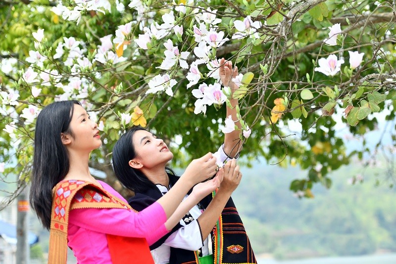 Chuỗi hoạt động hấp dẫn tại Lễ hội Hoa Ban 2025 Chuỗi hoạt động hấp dẫn tại Lễ hội Hoa Ban 2025
