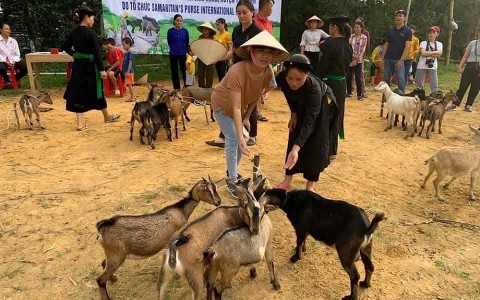 Yên Bái: Cùng nhau xây dựng nông thôn mới - Phụ nữ Yên Bình đóng góp sức người, sức của