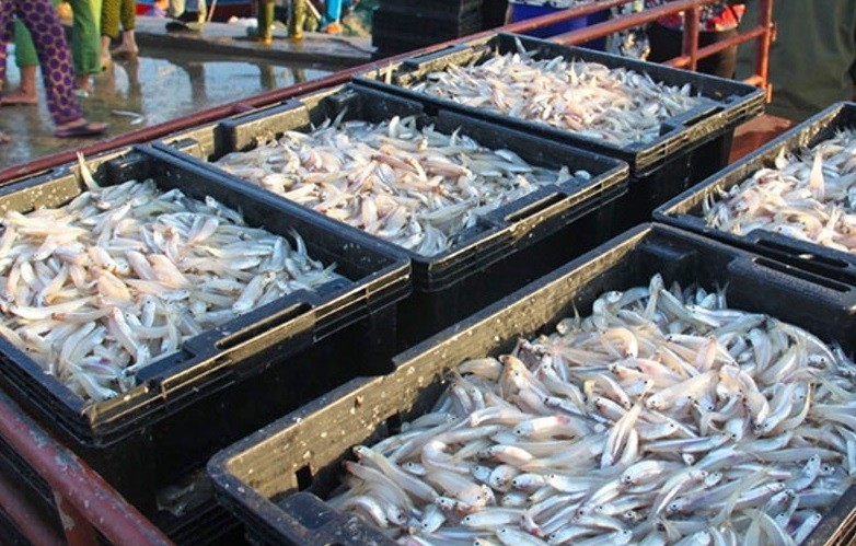 Các làng nghề truyền thống nhộn nhịp thu gom nguyên liệu sản xuất Các làng nghề truyền thống nhộn nhịp thu gom nguyên liệu sản xuất