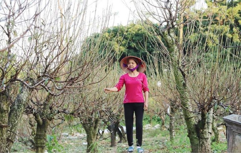 Phú Thọ: Phát triển làng nghề tạo động lực cho kinh tế nông thôn Phú Thọ: Phát triển làng nghề tạo động lực cho kinh tế nông thôn