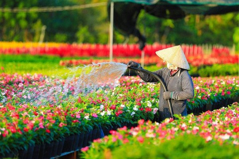 Định vị giá trị làng nghề trong công nghiệp văn hóa