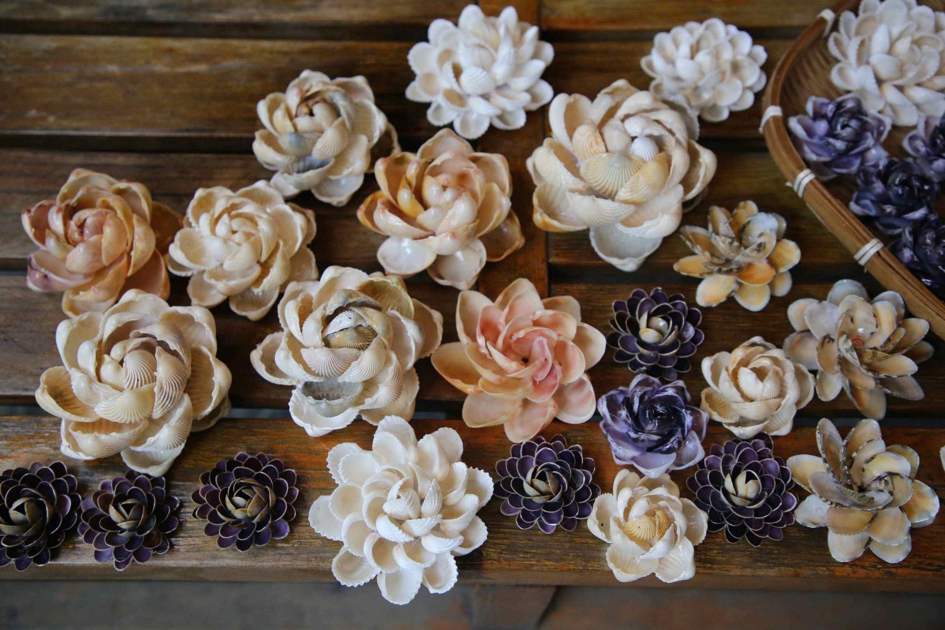 Quảng Nam: Mãn nhãn với sản phẩm nghệ thuật làm từ vỏ ốc, sò biển Quảng Nam: Mãn nhãn với sản phẩm nghệ thuật làm từ vỏ ốc, sò biển