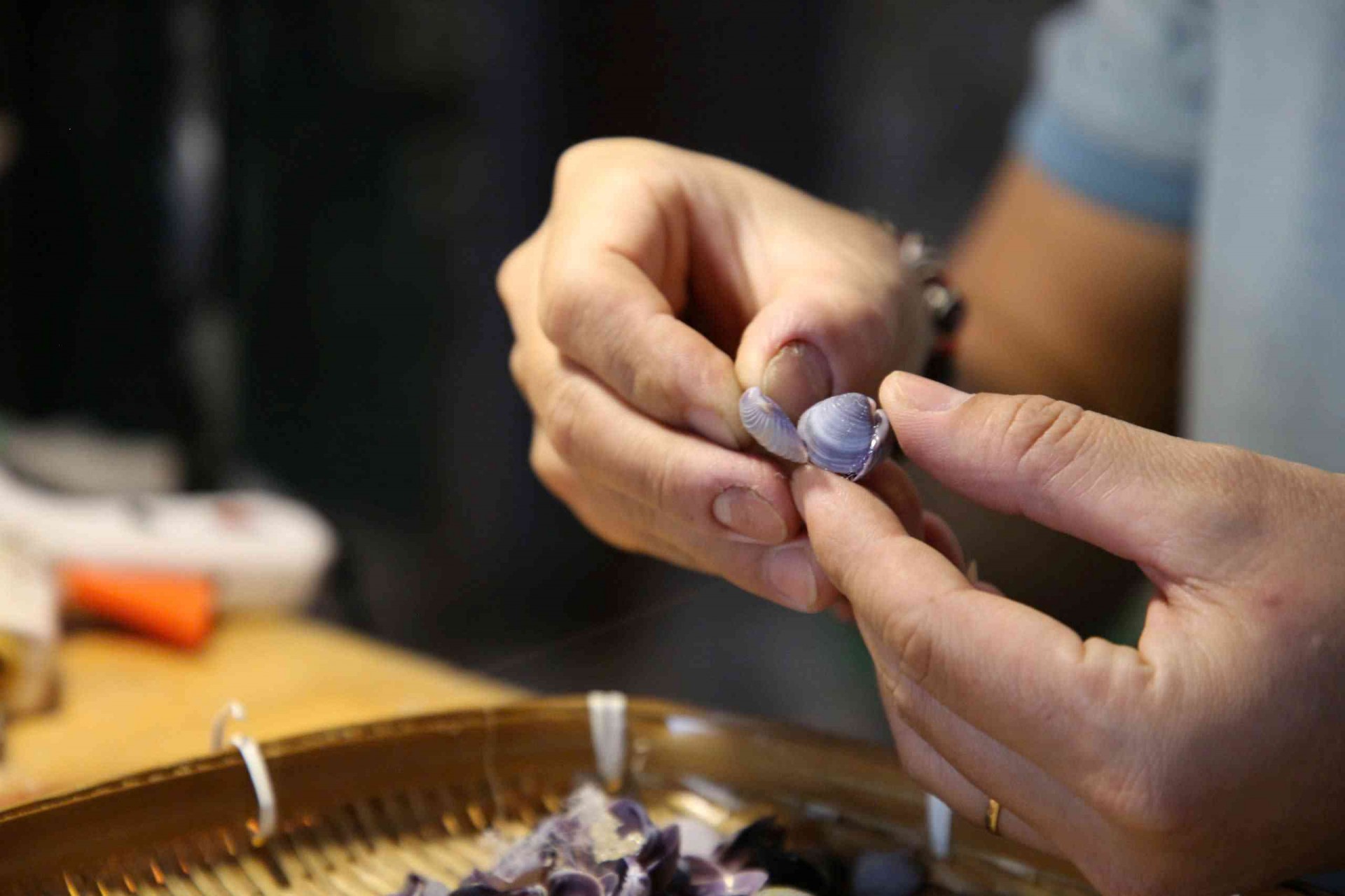 Quảng Nam: Mãn nhãn với sản phẩm nghệ thuật làm từ vỏ ốc, sò biển Quảng Nam: Mãn nhãn với sản phẩm nghệ thuật làm từ vỏ ốc, sò biển