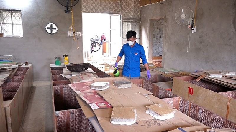 Thanh Hóa: Bí thư Đoàn xã tiên phong với mô hình nuôi dúi hiệu quả