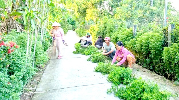 Huyện Chợ Lách đủ điều kiện đề nghị xét, công nhận huyện đạt chuẩn nông thôn mới nâng cao Huyện Chợ Lách đủ điều kiện đề nghị xét, công nhận huyện đạt chuẩn nông thôn mới nâng cao