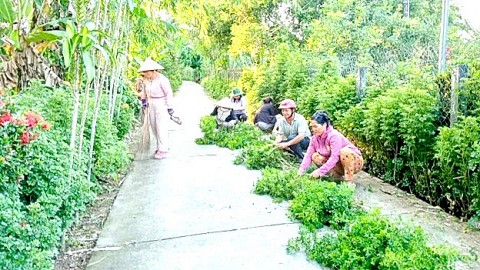 Tỉnh Bến Tre coi trọng phát triển sản phẩm nông nghiệp nông thôn
