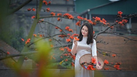 Mùa hoa gạo