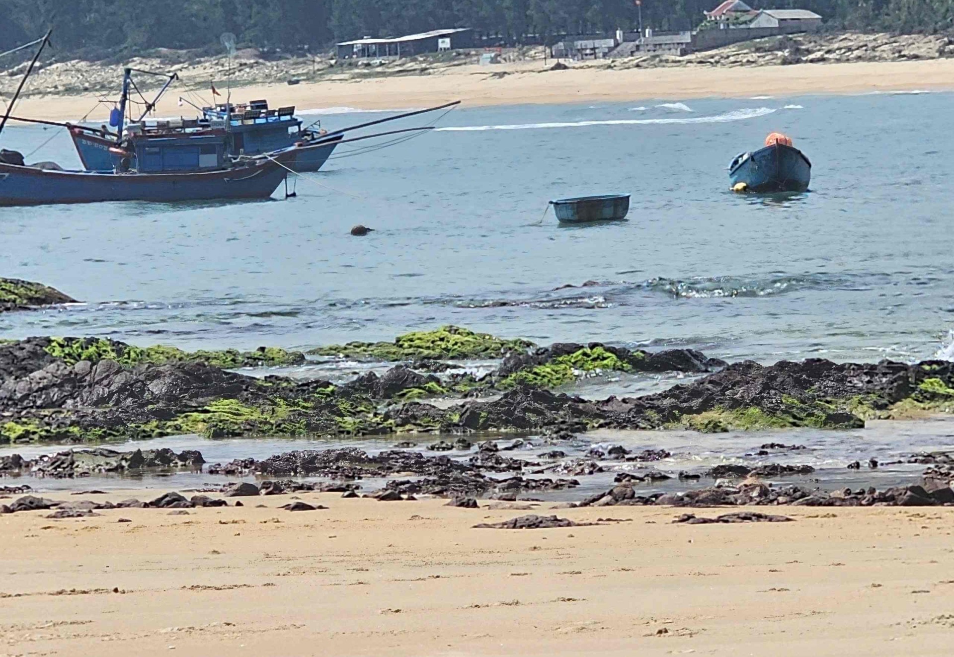 Bình Định: Gành đá Lộ Diêu mang vẻ đẹp kỳ vĩ với khối đá hình thù lạ mắt