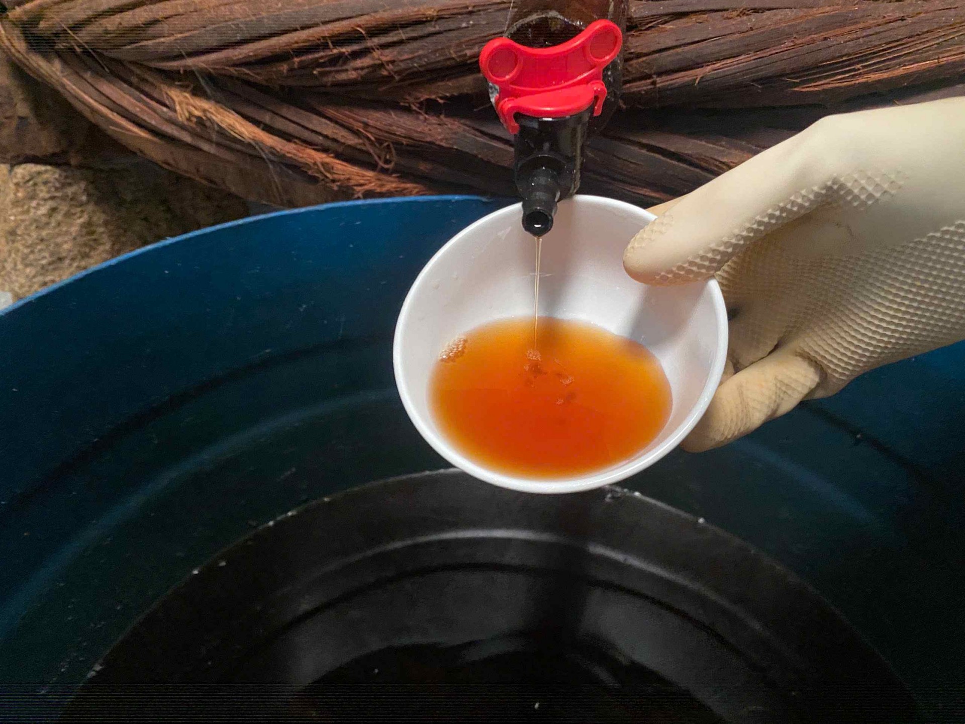 Quảng Nam: Ông chủ 8X làm nước mắm truyền thống thu hơn 4 tỷ đồng mỗi năm Quảng Nam: Ông chủ 8X làm nước mắm truyền thống thu hơn 4 tỷ đồng mỗi năm