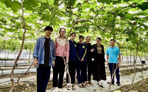 Khai thác tiềm năng du lịch nông thôn: Giải pháp nâng cao thu nhập và quảng bá văn hóa địa phương