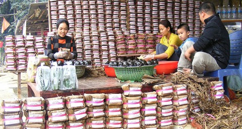 Phát triển nghề truyền thống gắn với xây dựng nông thôn mới ở Thọ Xuân