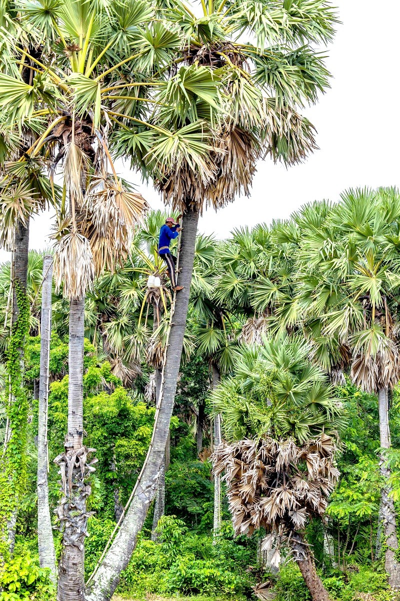 Nghề ăn cơm dưới đất, làm việc trên trời Nghề ăn cơm dưới đất, làm việc trên trời
