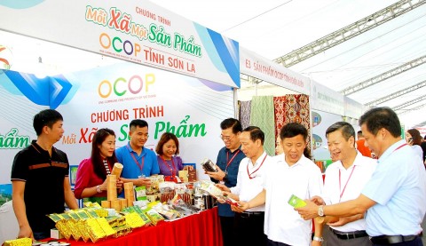 son la phat trien san pham ocop theo chuoi gia tri