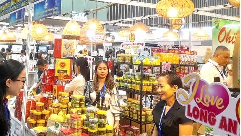 long an ho tro doanh nghiep tieu bieu vuon ra the gioi