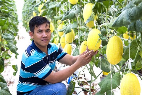 san pham ocop vinh long mang dam ban sac dia phuong