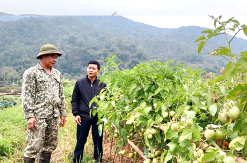 Nhiều mô hình chuyển đổi cơ câu cây trồng được người dân xã Lay Nưa chủ động thực hiện. Nhiều mô hình chuyển đổi cơ câu cây trồng được người dân xã Lay Nưa chủ động thực hiện.