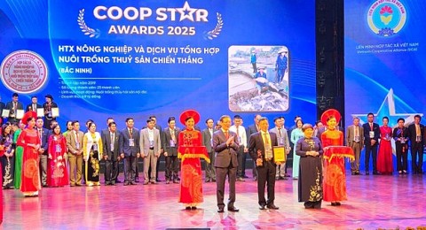100 hợp tác xã được trao giải thưởng “Ngôi sao hợp tác xã - Coops Award năm 2025"
