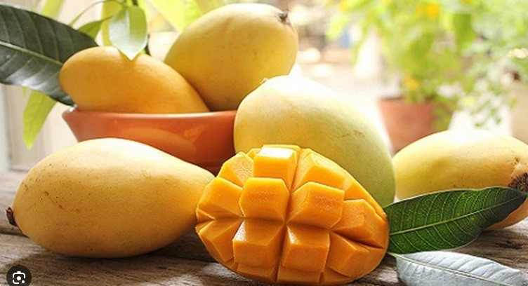 Nhãn hiệu chứng nhận "xoài cát chu Cầu Kè"