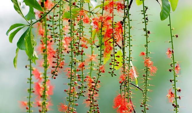 Khúc giao mùa tháng tư