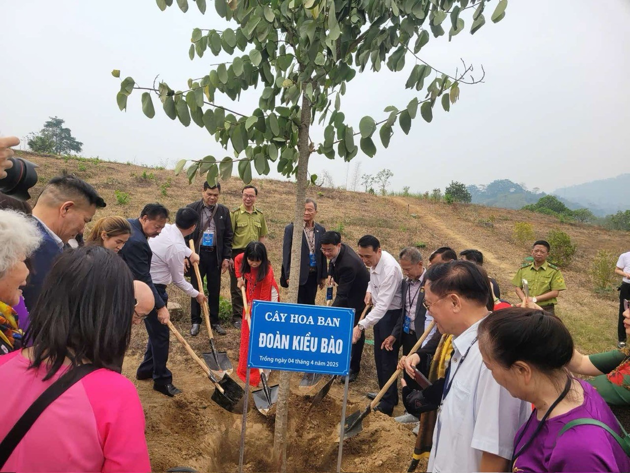 50 đại biểu kiều bào dâng hương tại Khu di tích Quốc gia đặc biệt Tân Trào, tỉnh Tuyên Quang. 50 đại biểu kiều bào dâng hương tại Khu di tích Quốc gia đặc biệt Tân Trào, tỉnh Tuyên Quang.