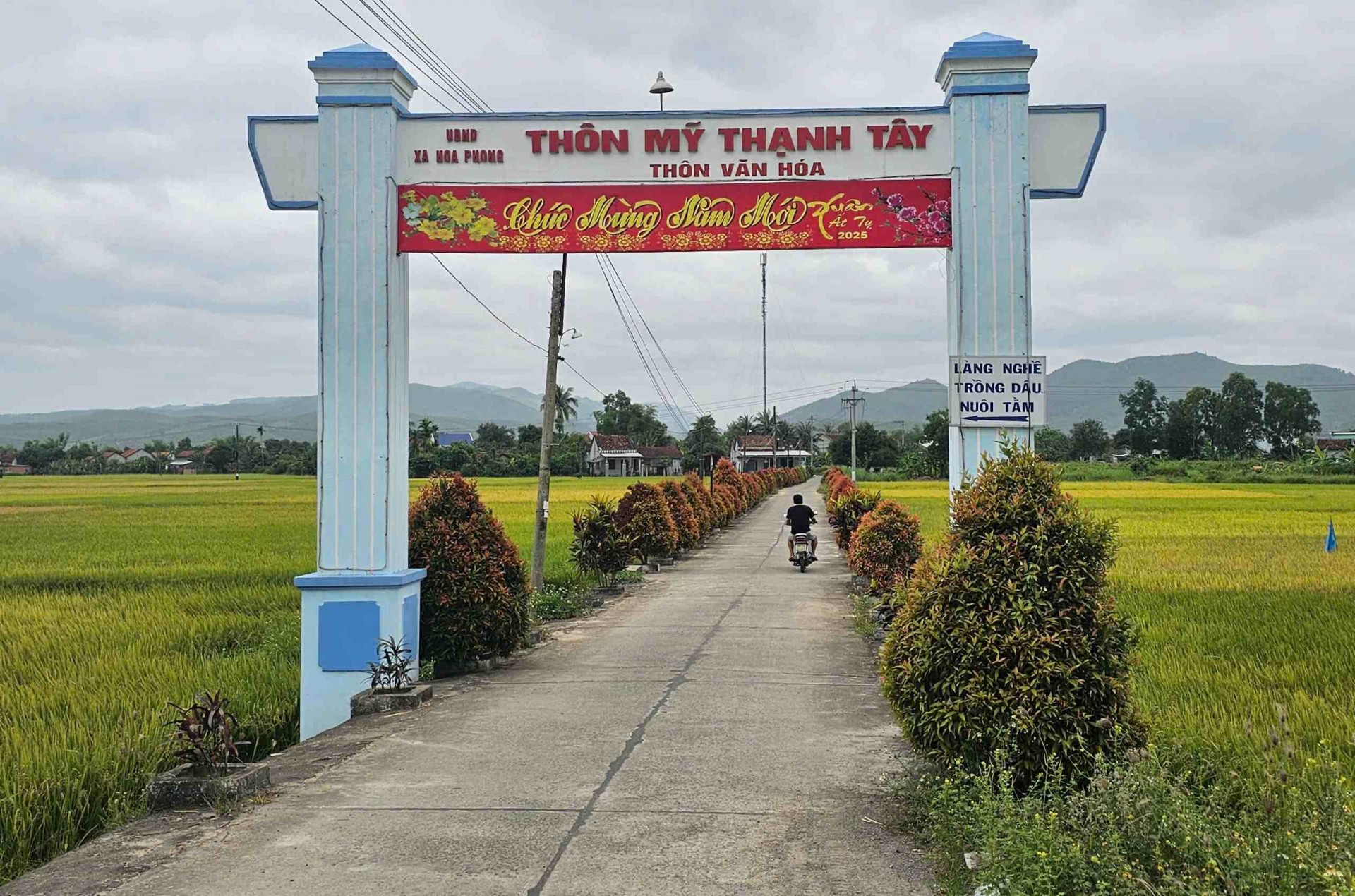 Phú Yên: Phát triển bền vững Làng nghề trồng dâu nuôi tằm xã Hòa Phong