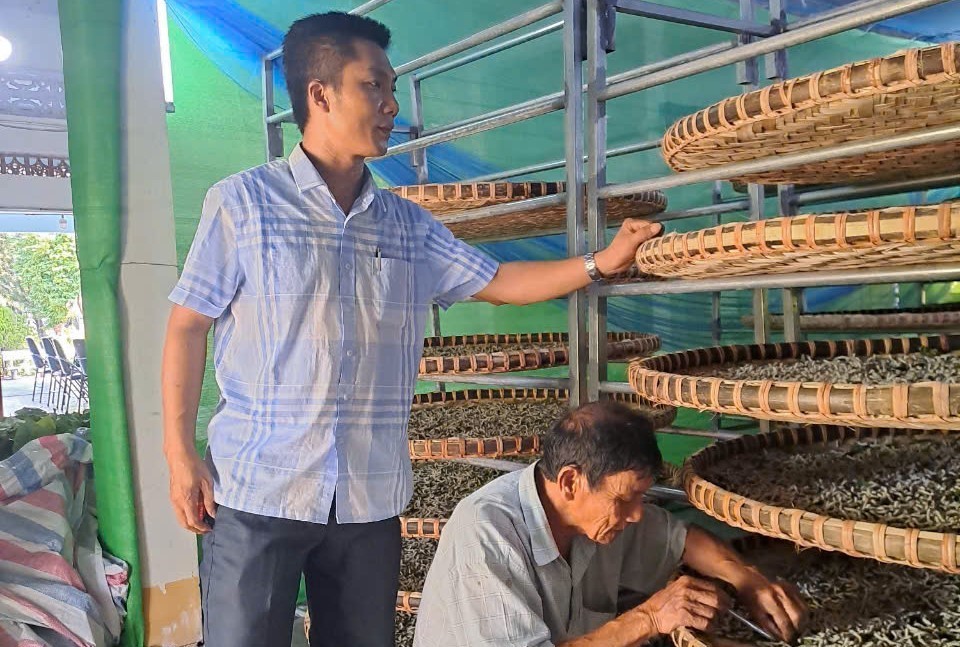 Phú Yên: Phát triển bền vững Làng nghề trồng dâu nuôi tằm xã Hòa Phong