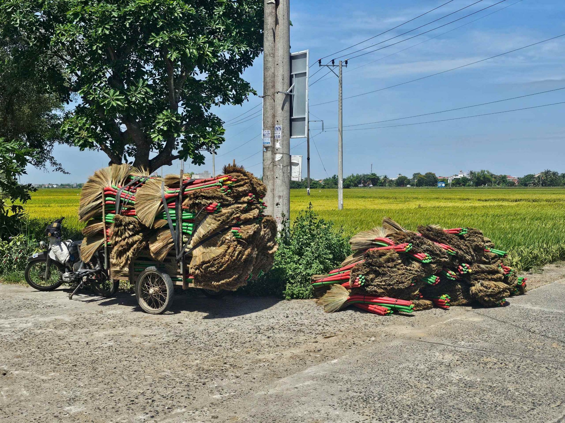 Phú Yên: Khó nhọc nghề làm chổi đót Mỹ Thành Phú Yên: Khó nhọc nghề làm chổi đót Mỹ Thành