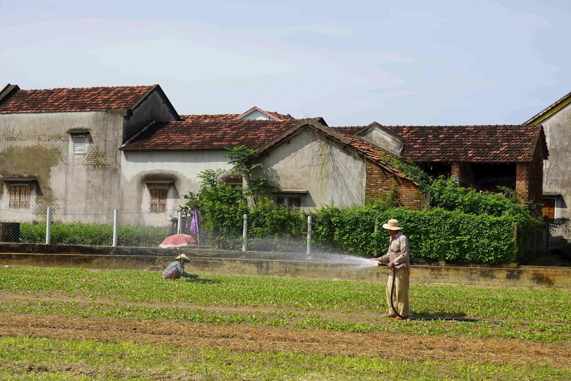 Bình Định triển khai Đề án phát triển du lịch cộng đồng Bình Định triển khai Đề án phát triển du lịch cộng đồng