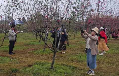 binh dinh trien khai de an phat trien du lich cong dong