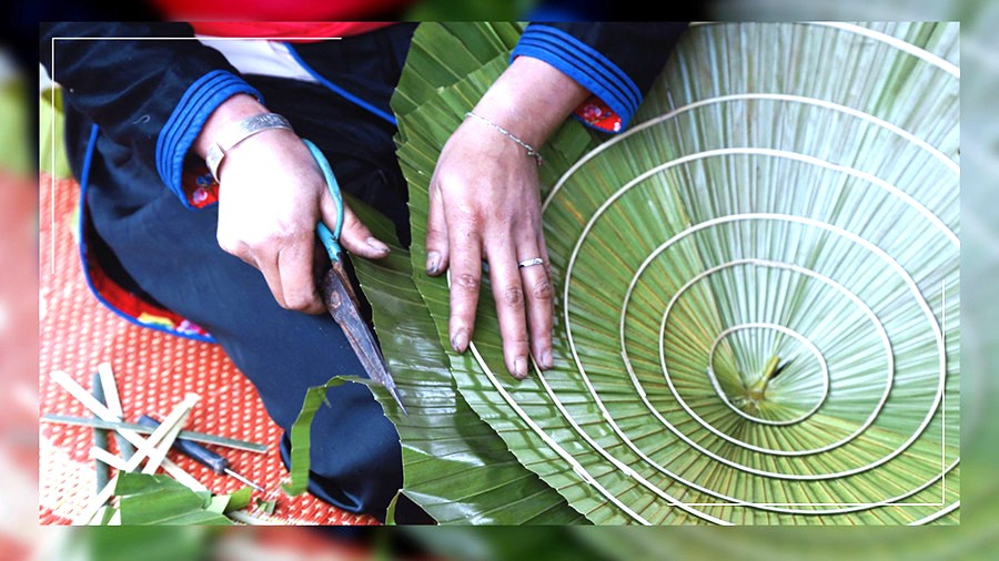 Lào Cai: Nghề làm nón lá cọ Bản Liền Lào Cai: Nghề làm nón lá cọ Bản Liền