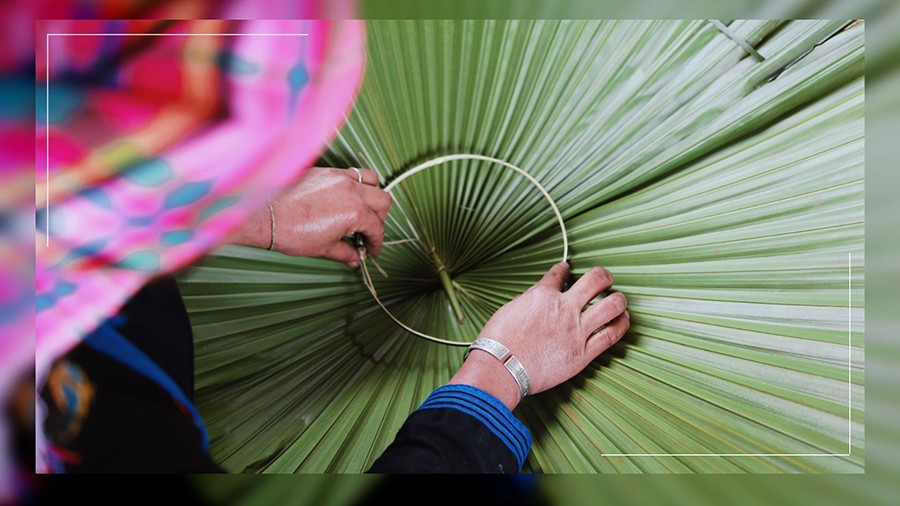 Lào Cai: Nghề làm nón lá cọ Bản Liền Lào Cai: Nghề làm nón lá cọ Bản Liền