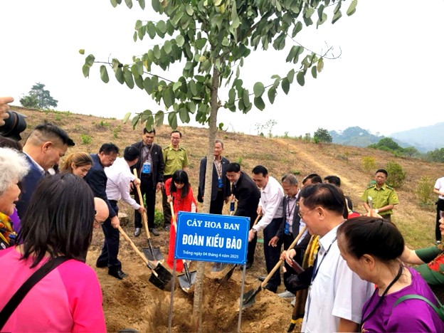 Đoàn kiều bào trồng cây hoa ban tại Tân Trào. Đoàn kiều bào trồng cây hoa ban tại Tân Trào.