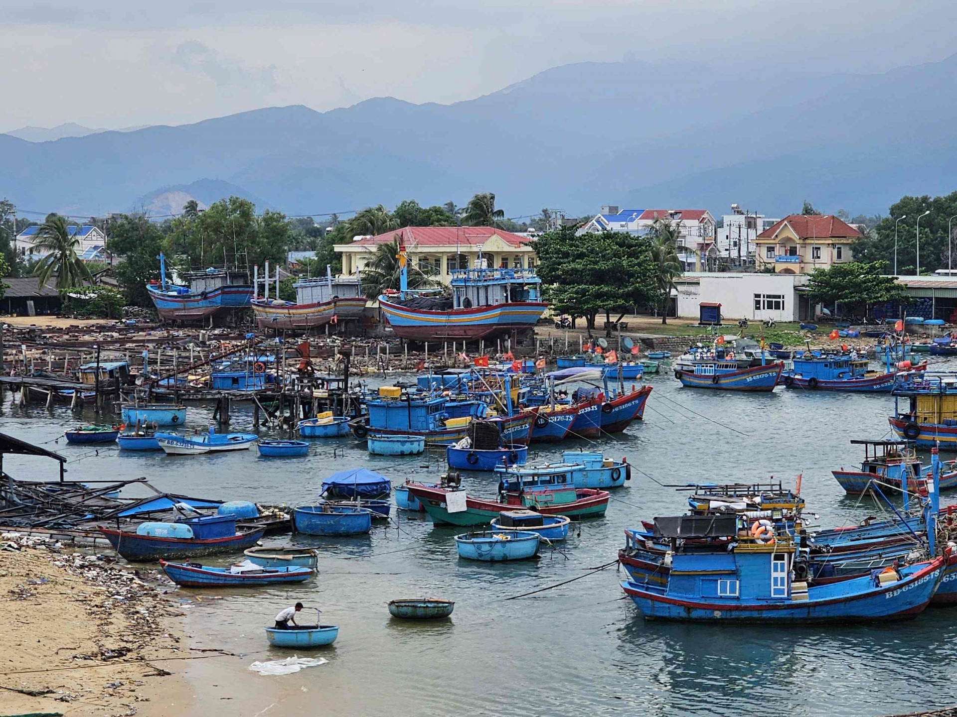 Bình Định chuyển đổi một số nghề khai thác hải sản và đào tạo nghề cho lao động ngư nghiệp Bình Định chuyển đổi một số nghề khai thác hải sản và đào tạo nghề cho lao động ngư nghiệp