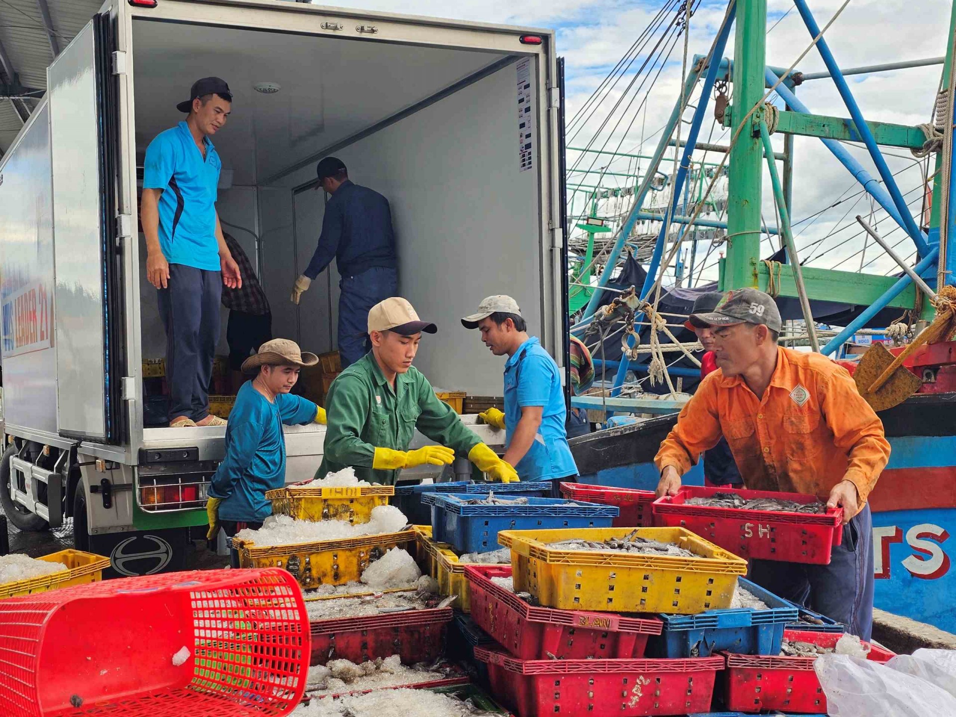 Bình Định chuyển đổi một số nghề khai thác hải sản và đào tạo nghề cho lao động ngư nghiệp Bình Định chuyển đổi một số nghề khai thác hải sản và đào tạo nghề cho lao động ngư nghiệp