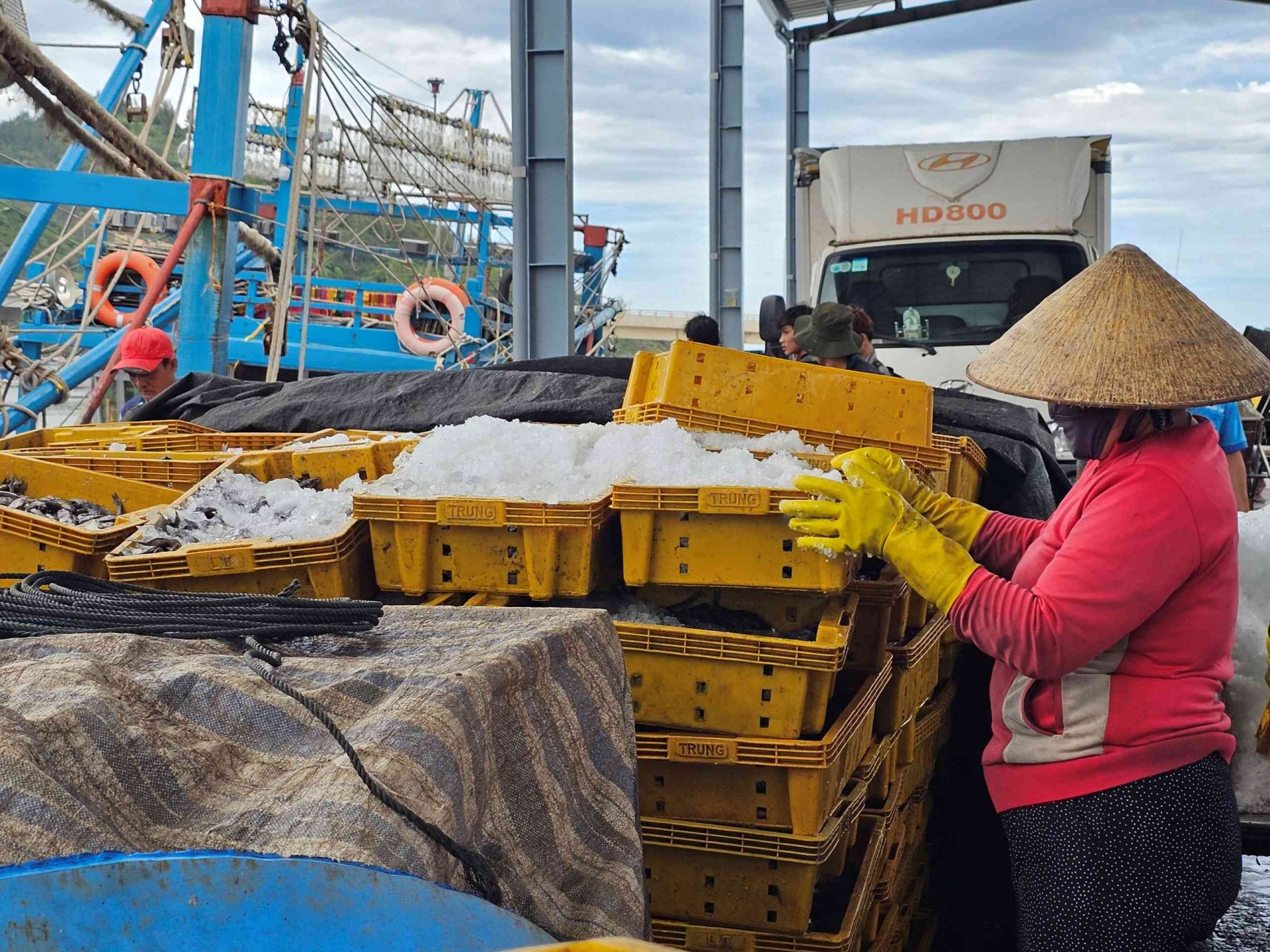 Bình Định chuyển đổi một số nghề khai thác hải sản và đào tạo nghề cho lao động ngư nghiệp Bình Định chuyển đổi một số nghề khai thác hải sản và đào tạo nghề cho lao động ngư nghiệp