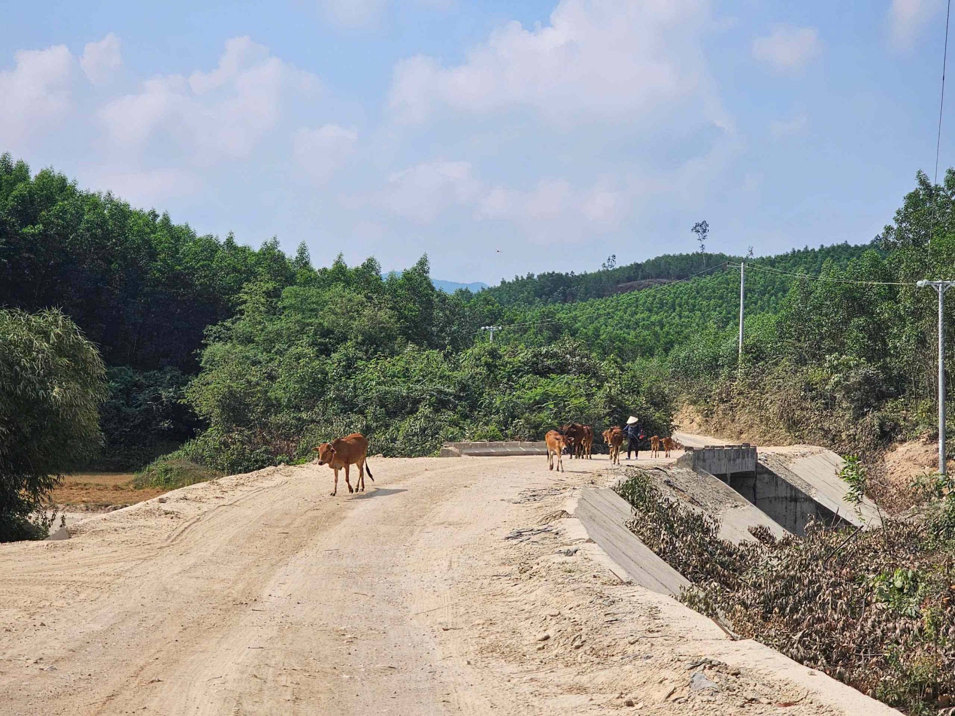 Bình Định: Dân làng Canh Tiến phấn khởi đón điện lưới quốc gia