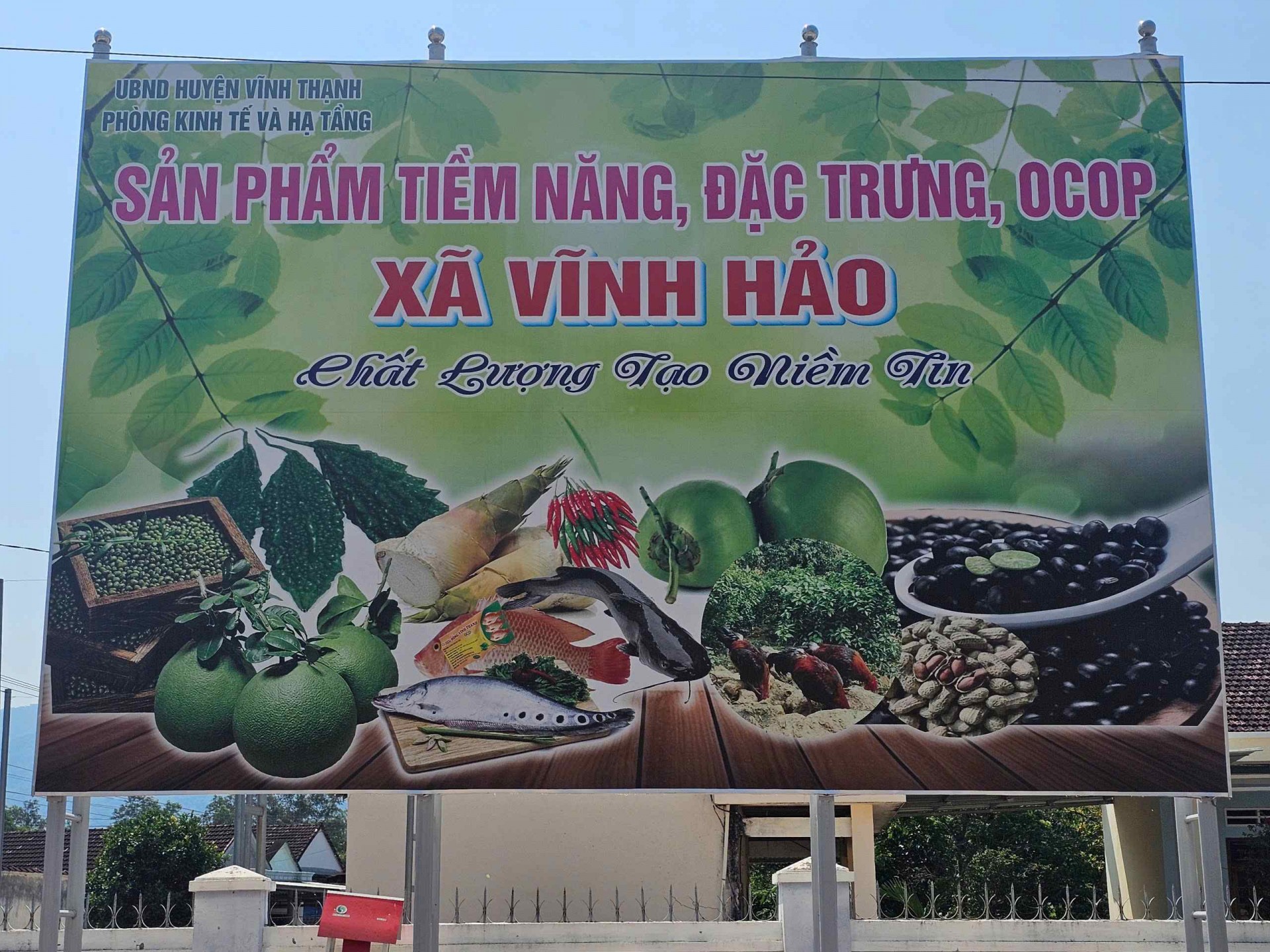 Bình Định: Huyện miền núi Vĩnh Thạnh có xã thứ 2 về đích nông thôn mới