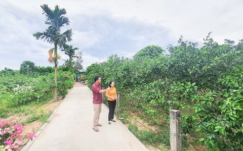 phat huy vai tro chu the cua nguoi dan dong luc ben vung trong xay dung nong thon moi o quang tri