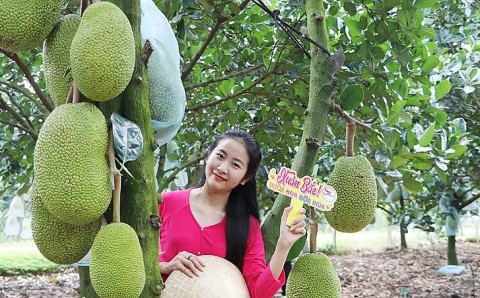 dong nai phat trien du lich tren nen tang nong thon moi